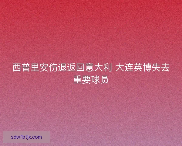 西普里安伤退返回意大利 大连英博失去重要球员
