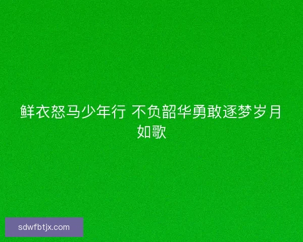 鲜衣怒马少年行 不负韶华勇敢逐梦岁月如歌